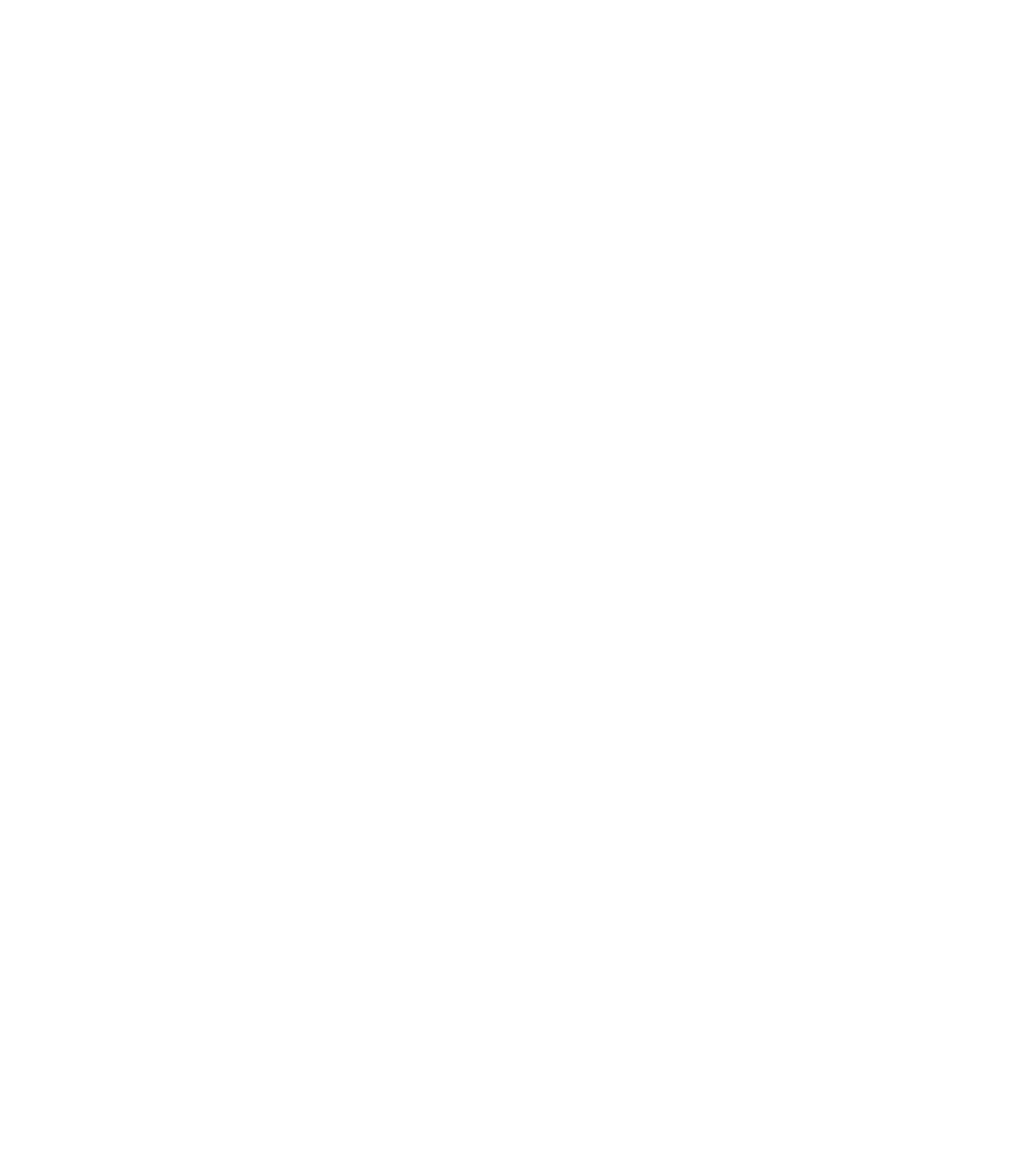 City Limits Logo